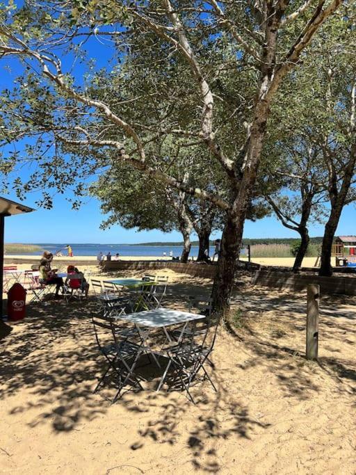 Agreable Maison Landaise Proche Du Lac Sanguinet Zewnętrze zdjęcie