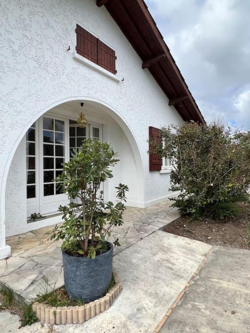 Agreable Maison Landaise Proche Du Lac Sanguinet Zewnętrze zdjęcie