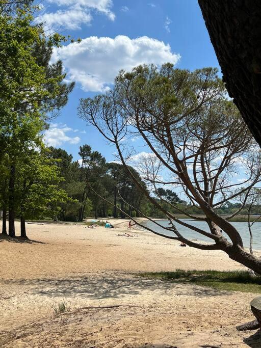 Agreable Maison Landaise Proche Du Lac Sanguinet Zewnętrze zdjęcie