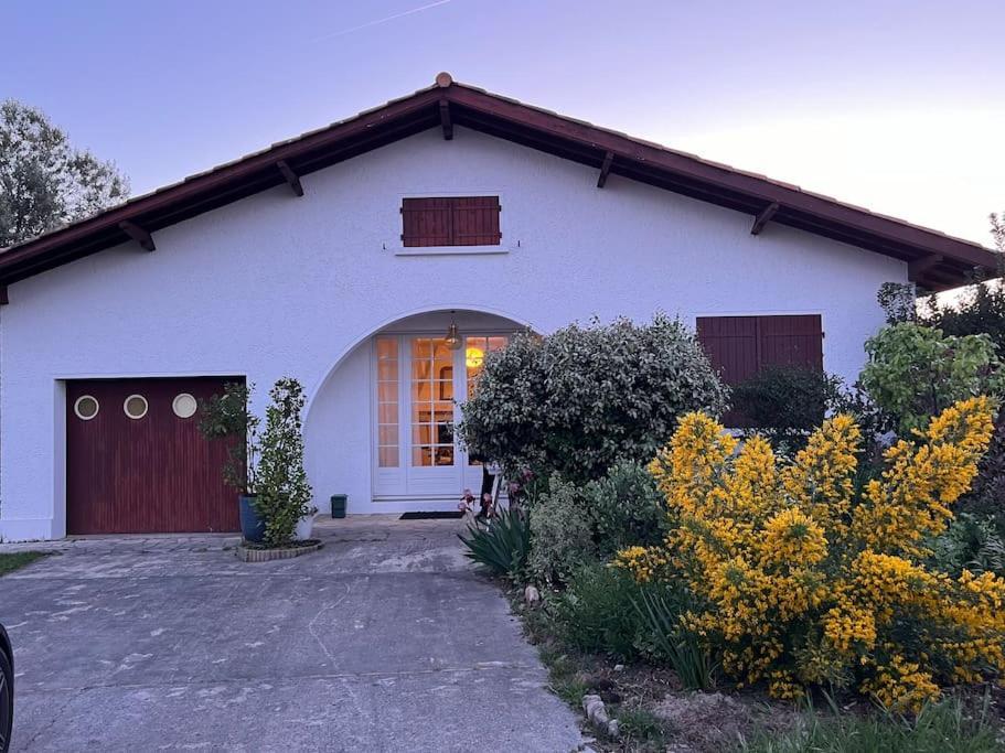 Agreable Maison Landaise Proche Du Lac Sanguinet Zewnętrze zdjęcie