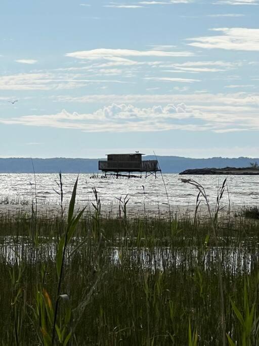 Agreable Maison Landaise Proche Du Lac Sanguinet Zewnętrze zdjęcie