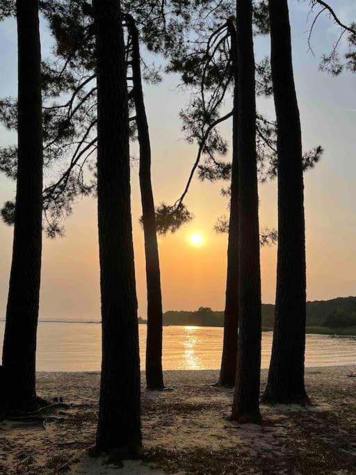 Agreable Maison Landaise Proche Du Lac Sanguinet Zewnętrze zdjęcie