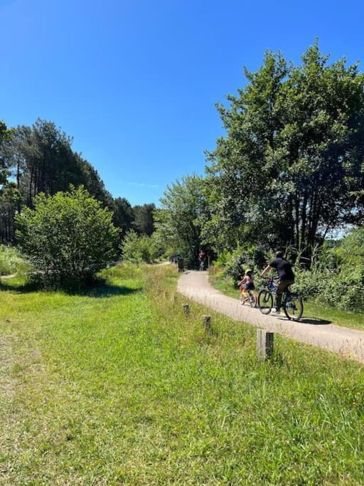 Agreable Maison Landaise Proche Du Lac Sanguinet Zewnętrze zdjęcie