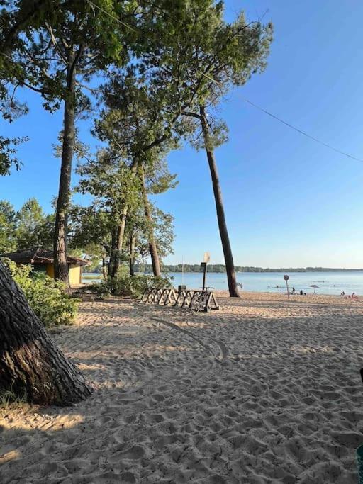 Agreable Maison Landaise Proche Du Lac Sanguinet Zewnętrze zdjęcie