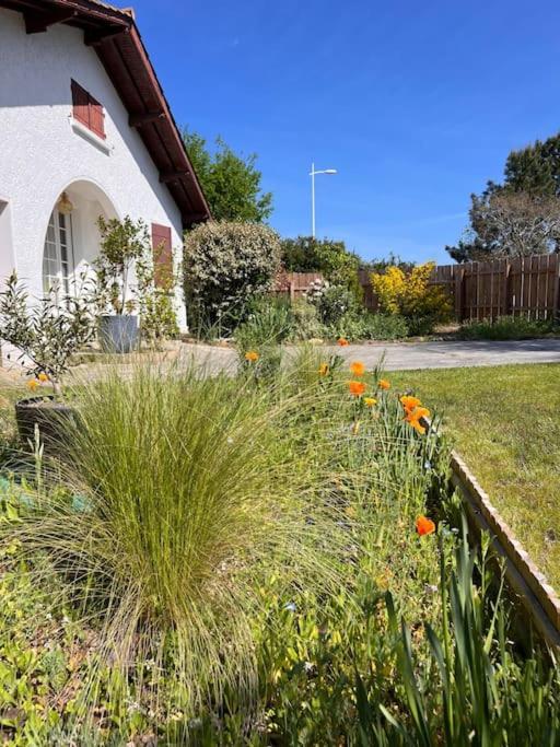 Agreable Maison Landaise Proche Du Lac Sanguinet Zewnętrze zdjęcie